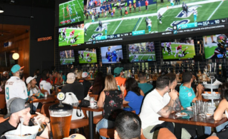guests watching the game
