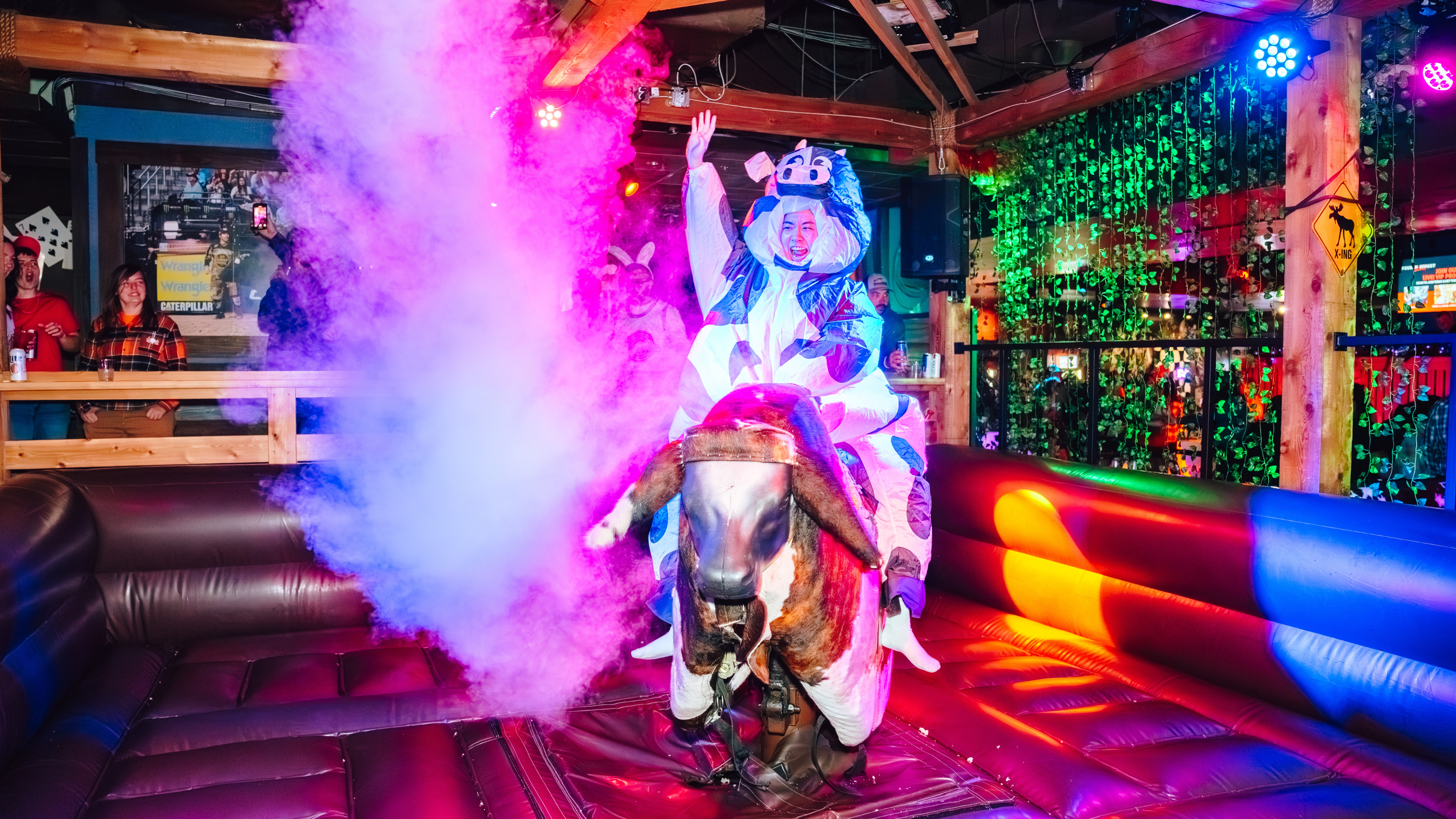 An image of a woman in an inflatable cow costume riding the mechanical bull at PBR.
