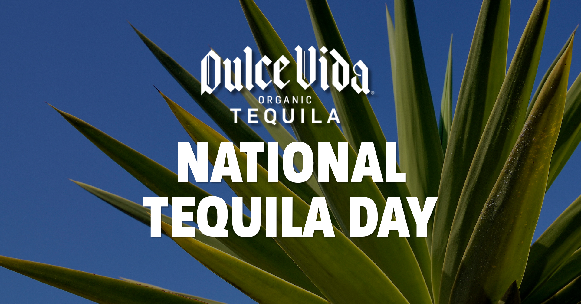 A graphic for National Tequila Day with the Dulce Vida logo at the top and greenery behind the wording.