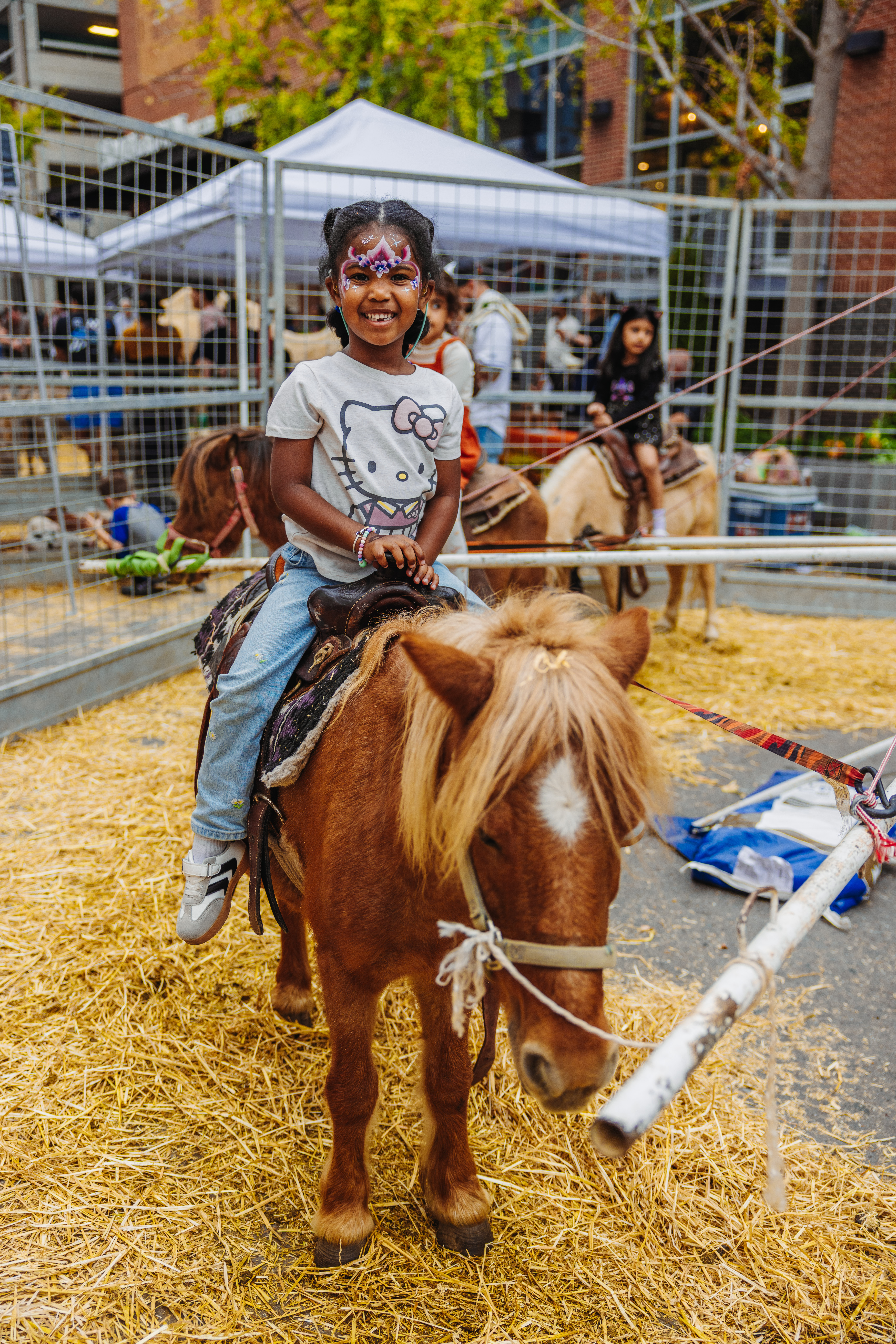 Pony Rides