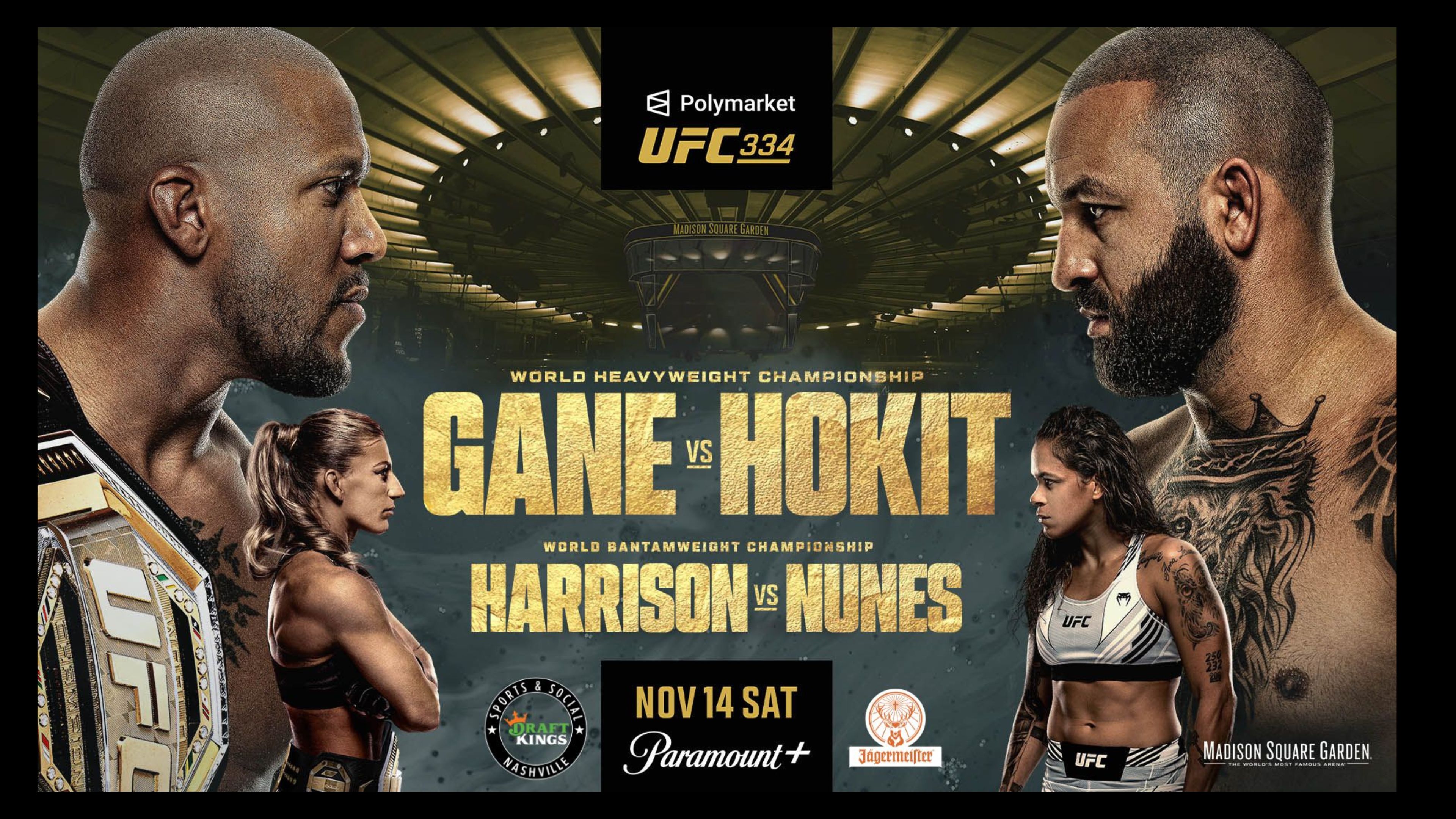 UFC 334