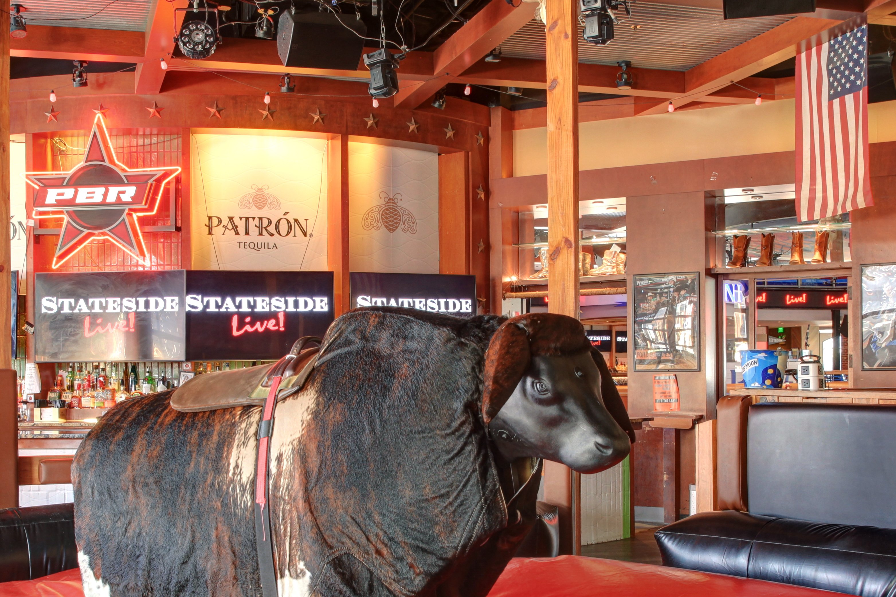 Bull