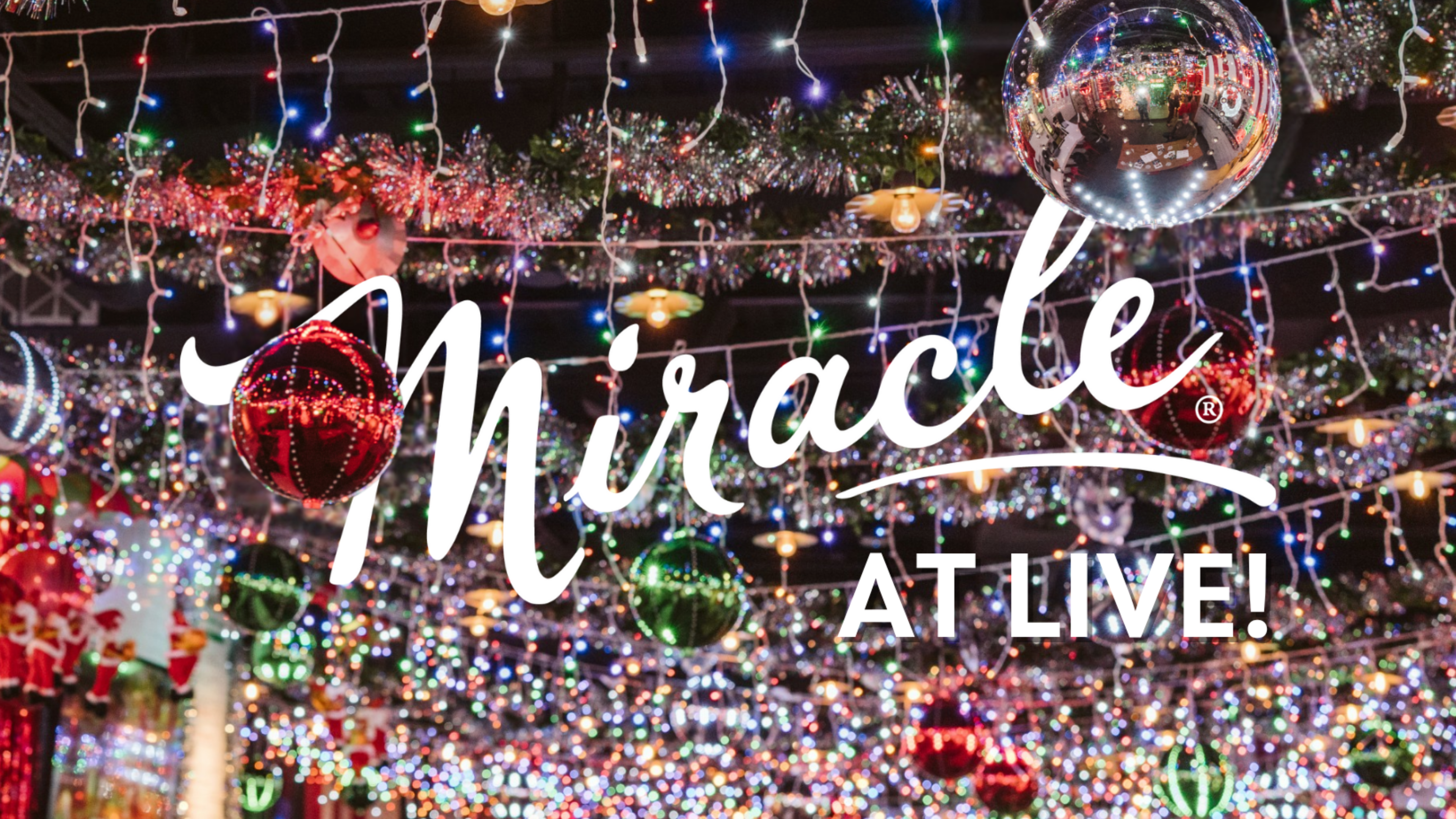 Miracle is BACK! Enjoy the holiday season with the ultimate holiday pop-up at Texas Live!