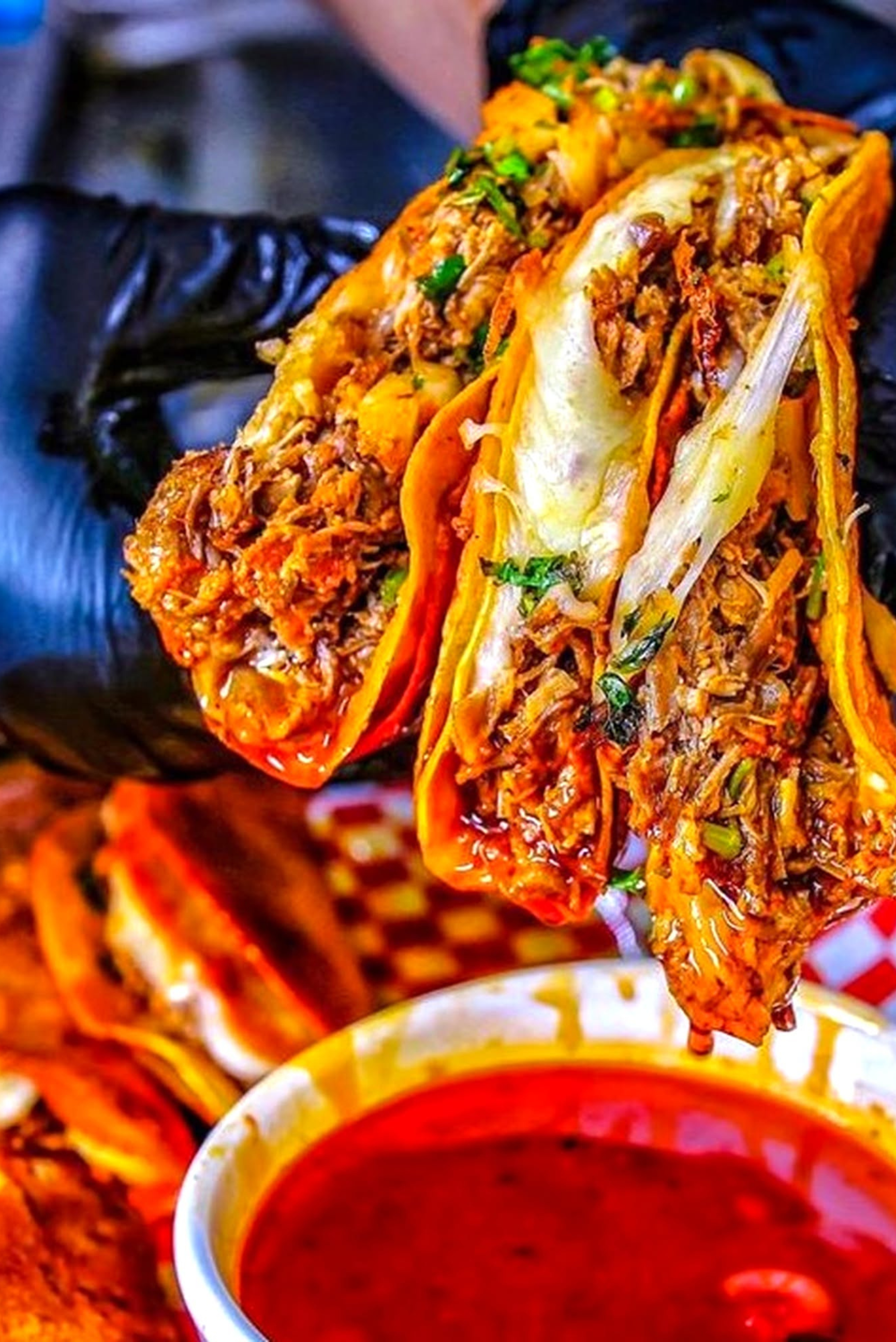 Norfolk Taco Fest Birria