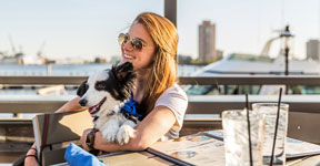 YappyHour_News_Thumbnail