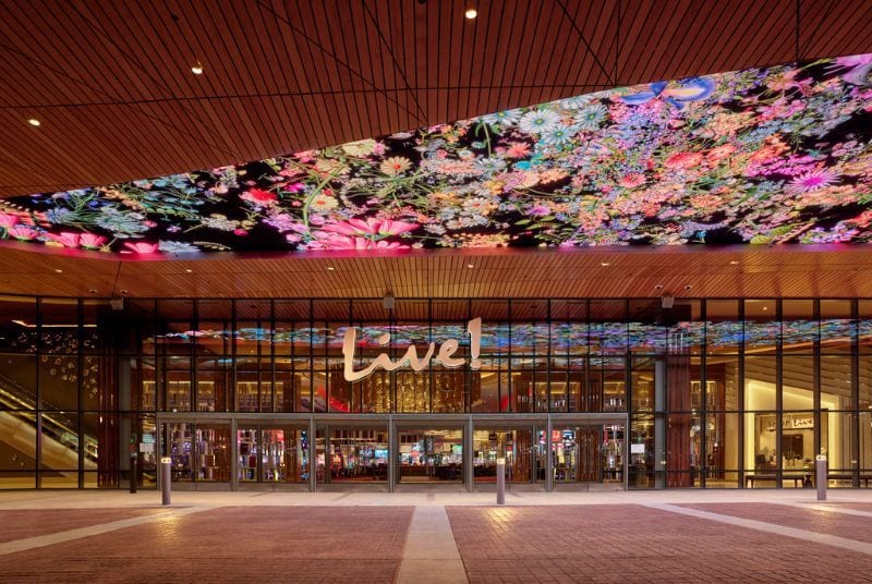 A beautiful montage of all different types of wildflowers hangs from the modern wood-paneled ceiling above Live!'s entrance.