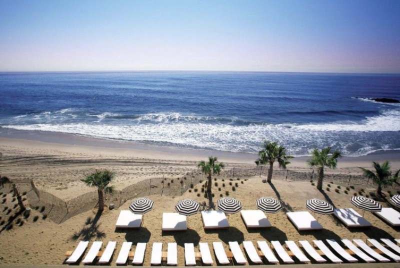 Lounge chairs and umbrellas on the beach among palm trees at Avenue beach club in Long Branch, NJ.