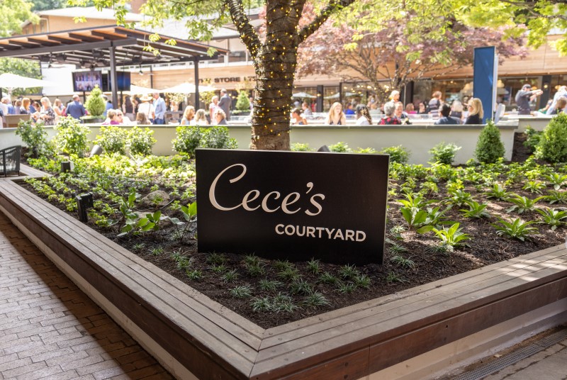 Cece's Courtyard black sign with gold script letter in greenery at the restaurant in Baltimore, MD.