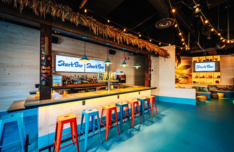 Enjoy themed drinks, great music, and an endless summer vibe at Shark Bar at Live! at the Pointe Orlando.