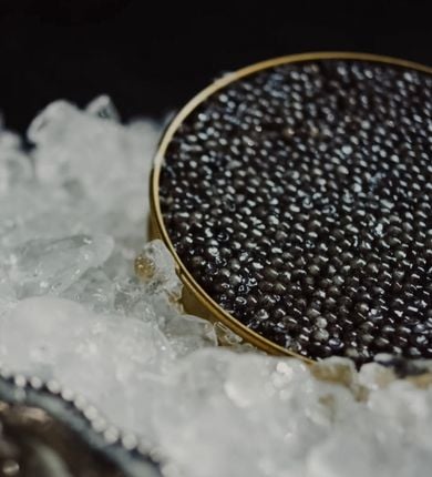 image of caviar in a tin on ice