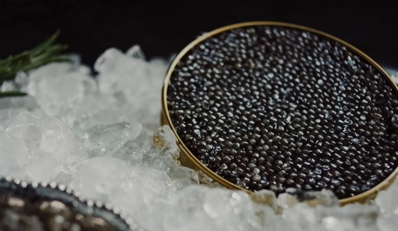 image of caviar in a tin on ice