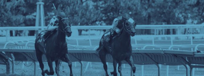 image of horses racing with a blue tint