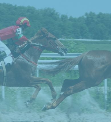 image of people racing horses