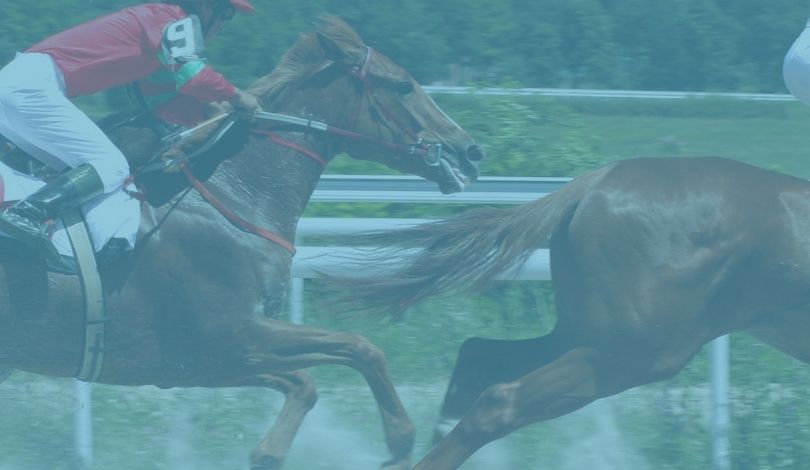 image of people racing horses
