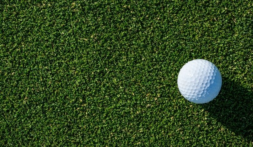 image of a golf ball on grass