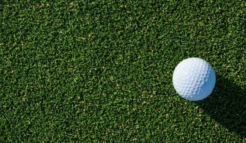 image of a golf ball on grass