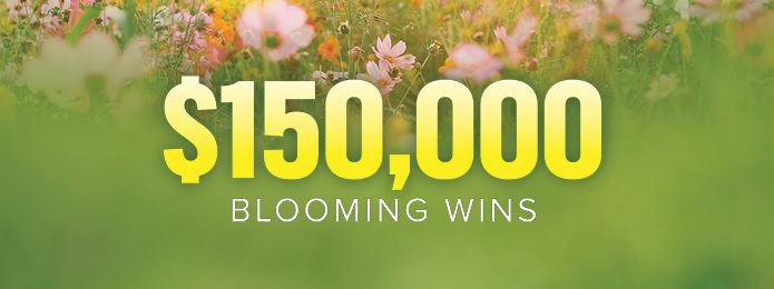 $150,000 Blooming Wins