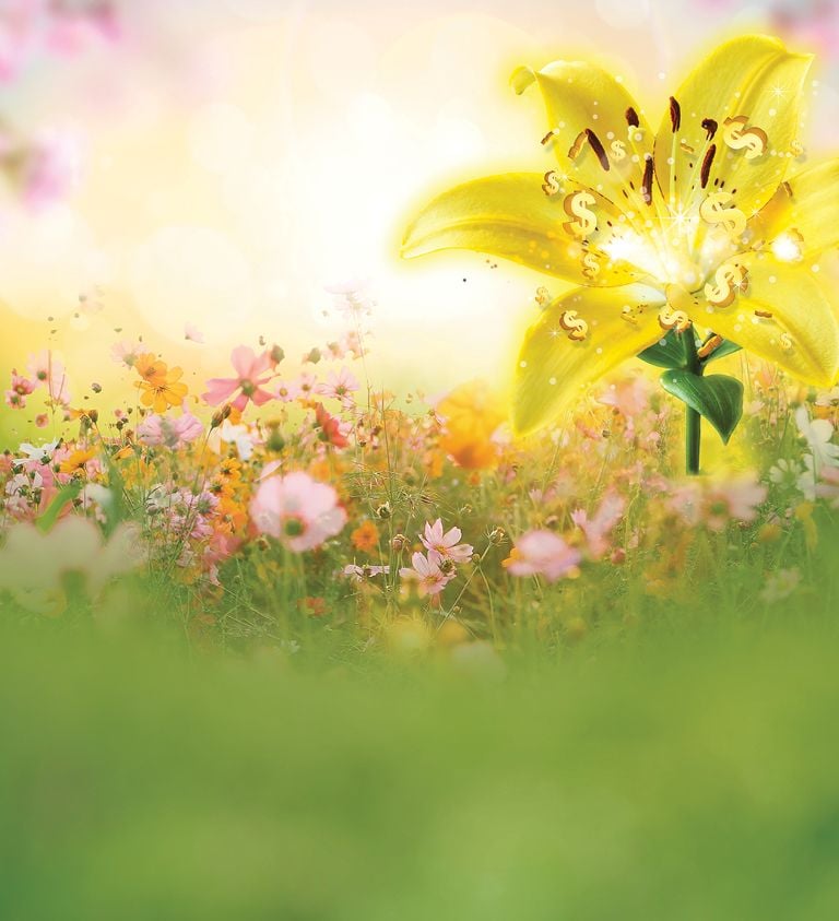 $150,000 Blooming Wins