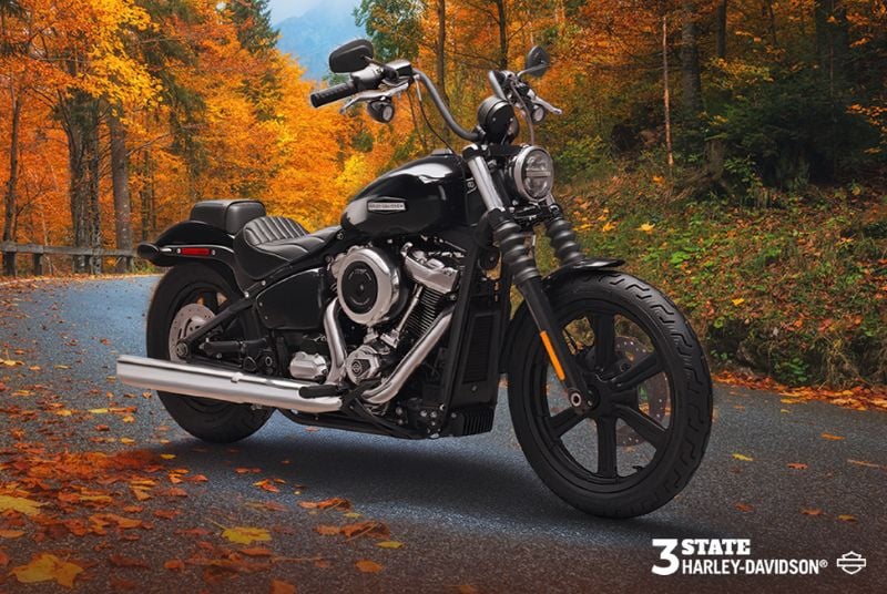 $200,000 Harvest of Harleys. 2025 Harley-Davidson Street Bob Motorcycle on a road with fall foliage in the background.