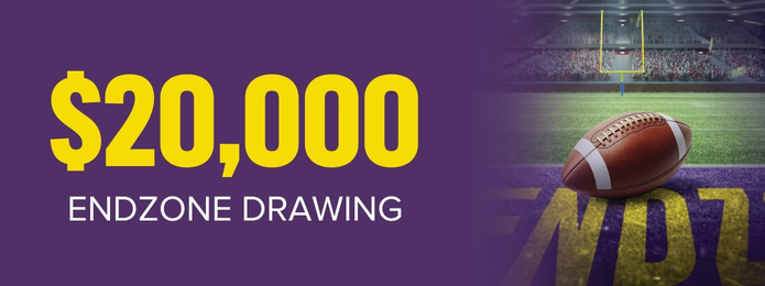 $20,000 Endzone Drawing