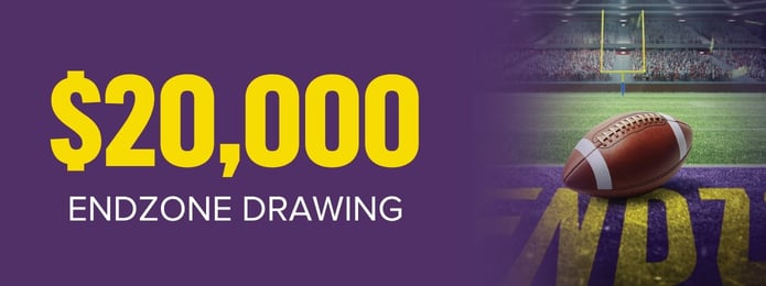 $20,000 Endzone Drawing