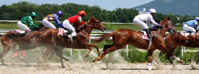 preakness
