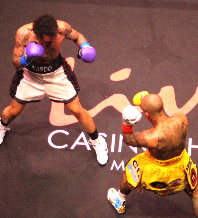 two boxers
