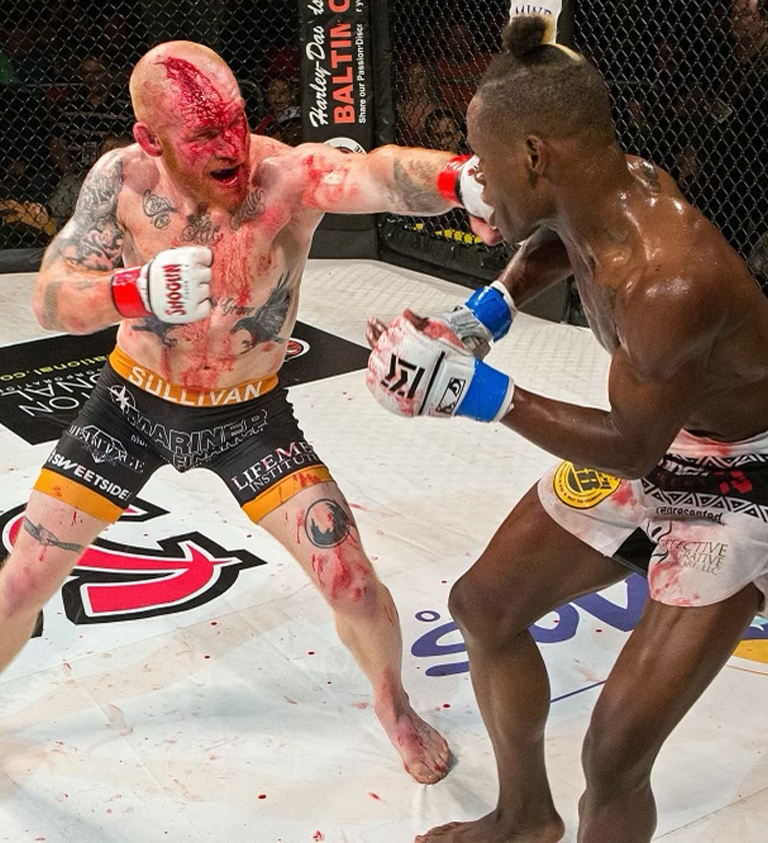 shogun