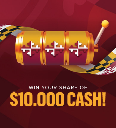 메릴랜드 데이 로고