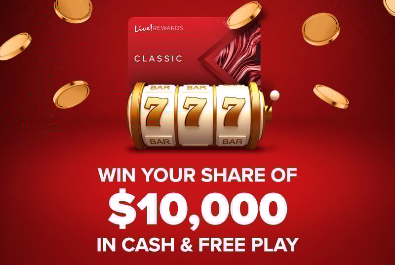 new member logo 2026