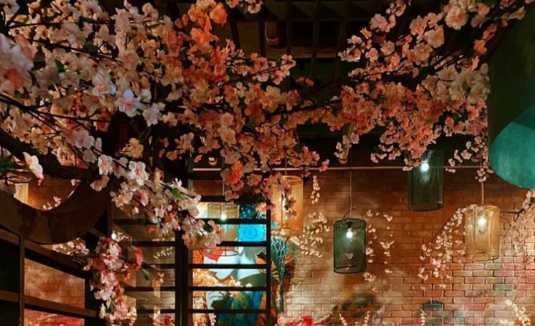 CherryBlossom2