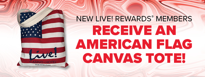 America Tote Bag