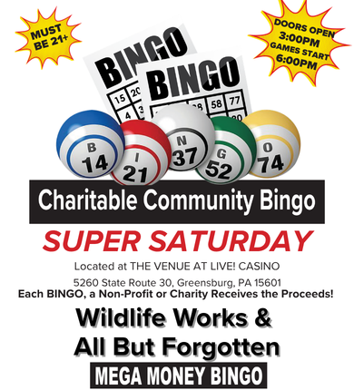 bingo event image