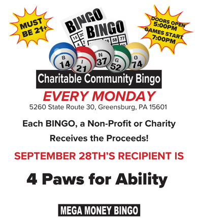 bingo event image