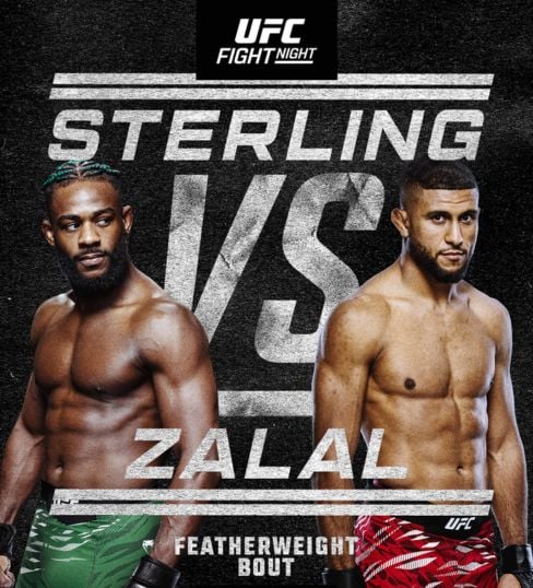 two boxers about to fight