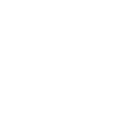 White Sports & Social® Steel City Logo