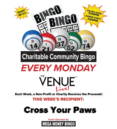 Bingo