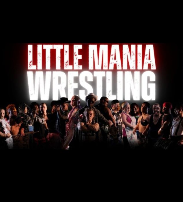 mini wrestlers