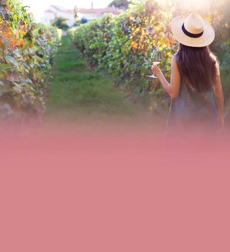 napa valley scenery with a woman walking through a vineyard