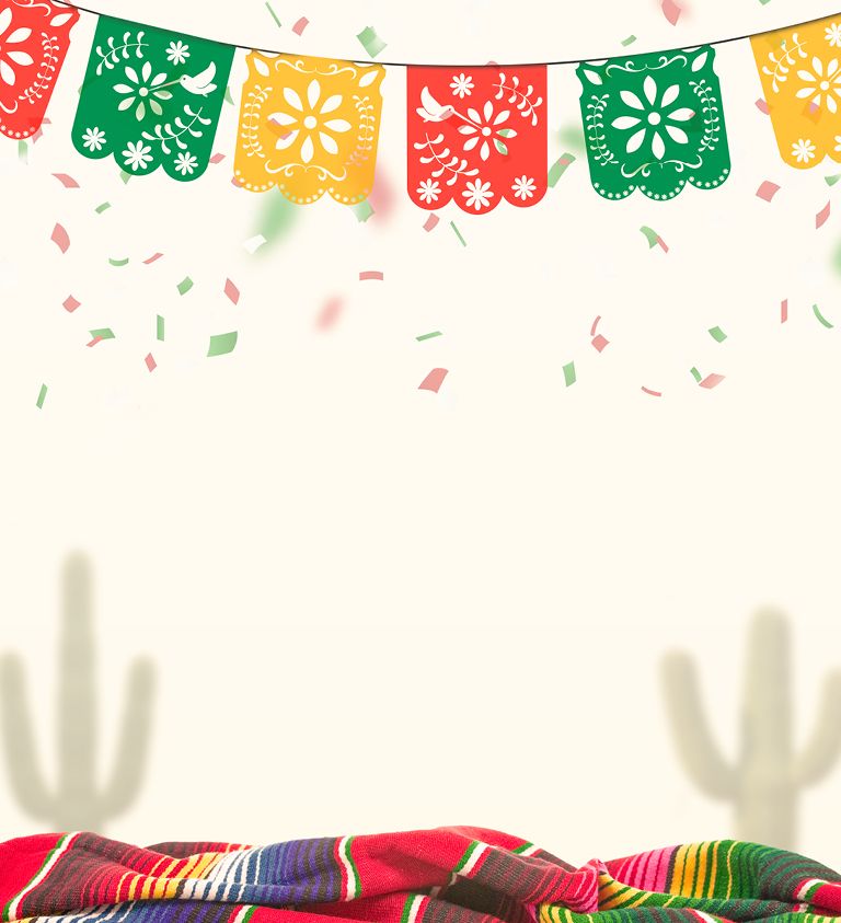 cinco de mayo party banner image