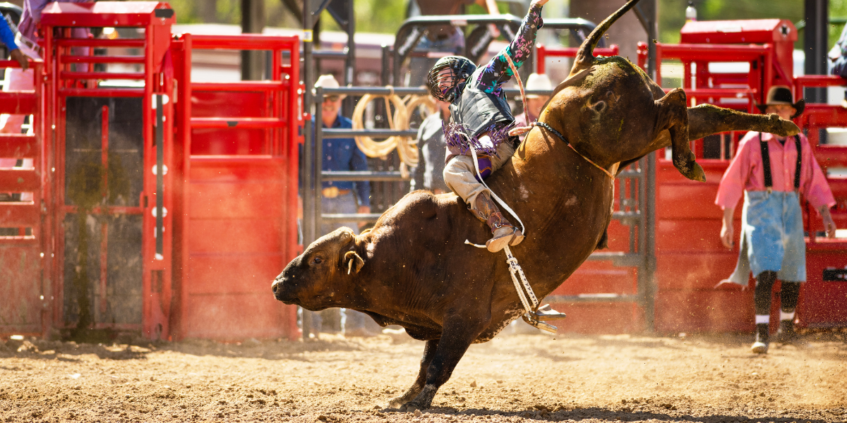 Live! Casino Pro Bulls and Barrels