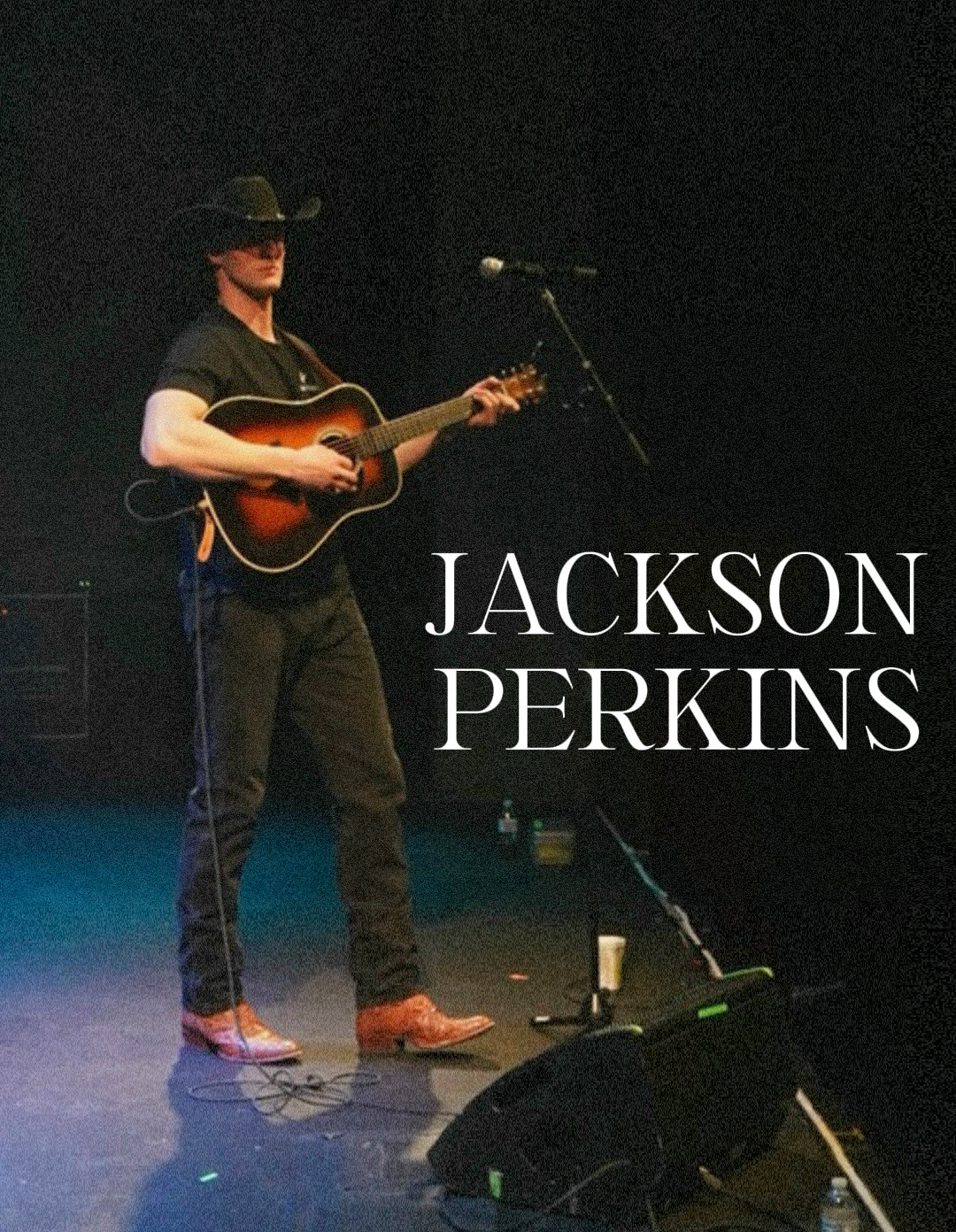 Jackson Perkins 005