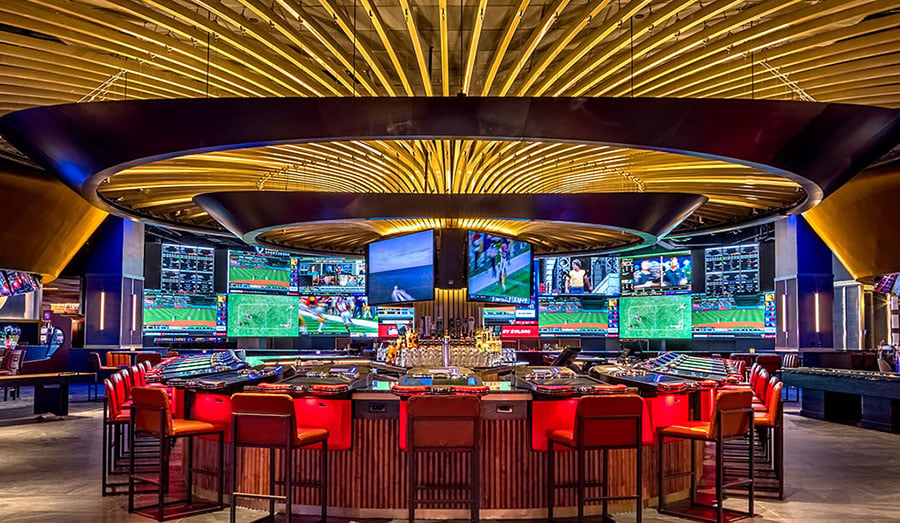 Sports And Social Maryland