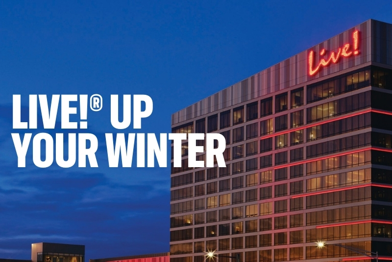 Live Up Your Winter
