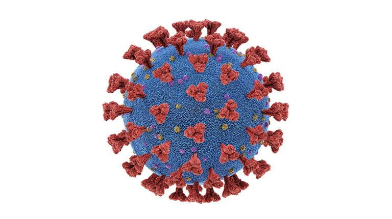 coronavirus