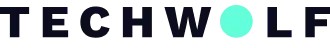 logo_techwolf_3.png