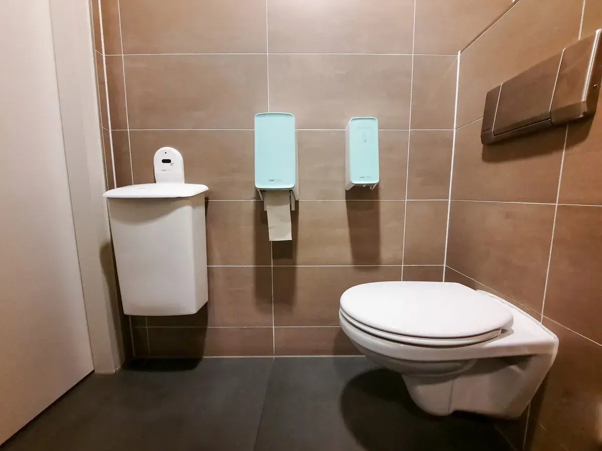 Toilet hygiene