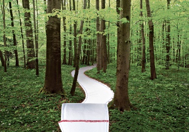 gerecycled-wc-papier