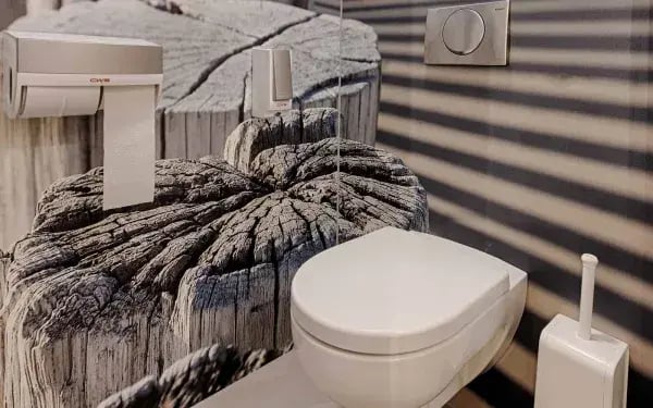 toilethygiene