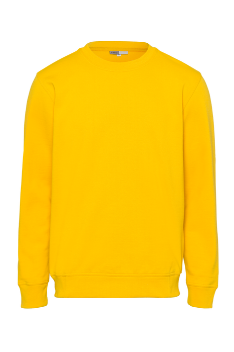 CWS PRObasics: Sweatshirt